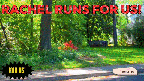 https://rachelfordelegate.org/wp-content/uploads/giphyRachel.gif